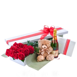 12 long stem roses in box , chocolate, teddy